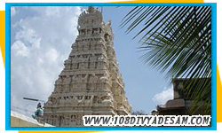 thondainadu divya desam tour operators from kanchipuram